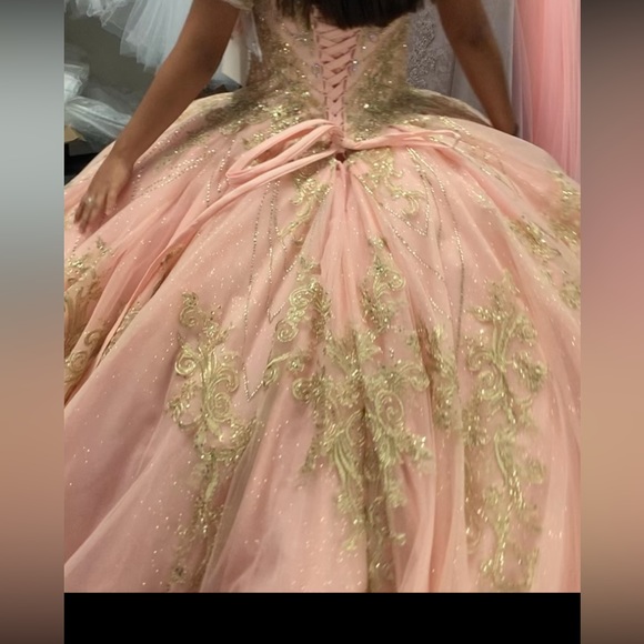 MORILEE BALLGOWN BLUSH PINK/GOLD (DRESS ONLY) - Picture 5 of 6